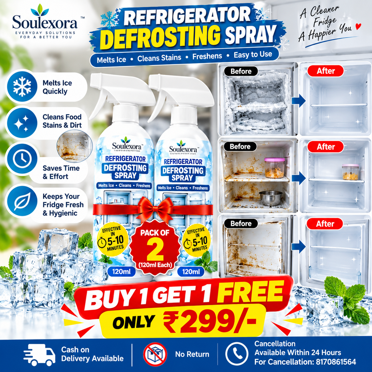 Defrosting Spray for Fridge Freezer Cleaner  (Pack of 2) BUY 1 GET 1 FREE